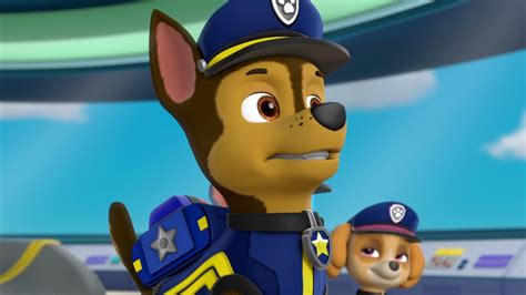 patrulla canina youtube|paw patrol capitulos nuevos.